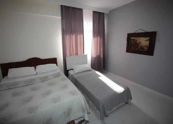 Avsa Guenes * Türkeli